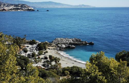 Luz de la Marina - Photo 52