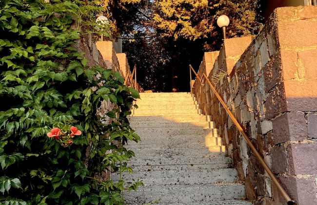 LASSIA STUDIOS - Foto 24