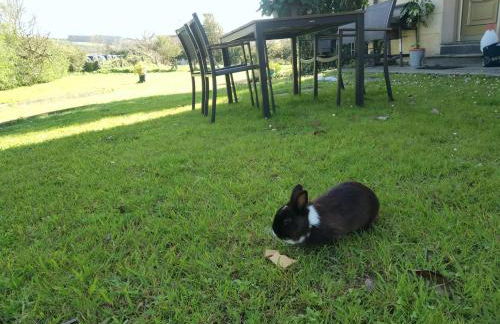 Puente Romano - Foto 38