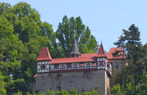 Ferienhaus, Jagdshof - Foto 30