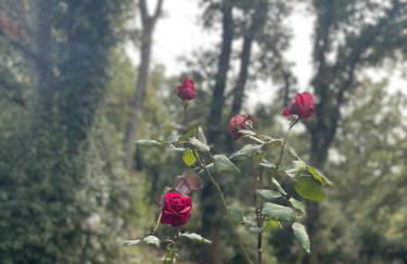 San Biagio - Foto 15