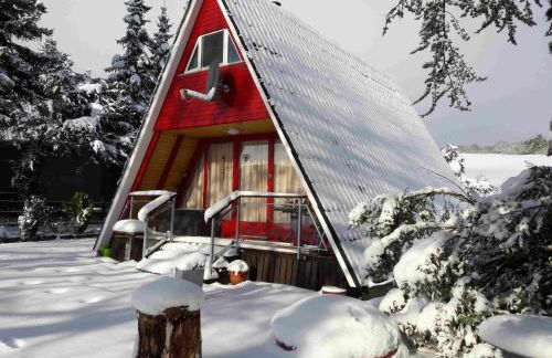 Eifeler Finnhaus mit Sauna, Mühlenberg 13 - Foto 3