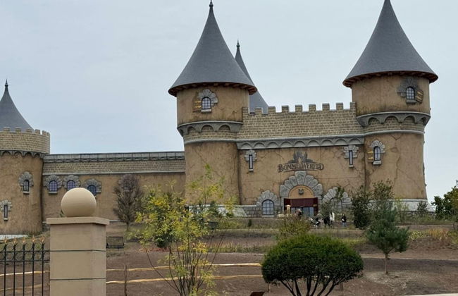 Comfy Groenlo Apartment With Garden - Foto 77