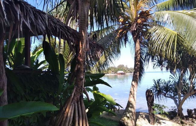 Troppo Mystique - Photo 41