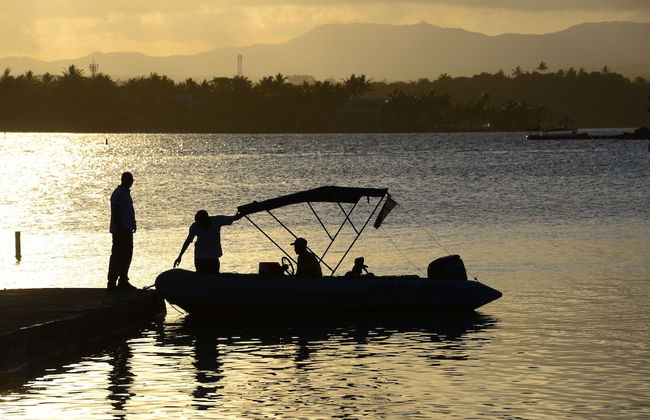 Pingouinvillas - Photo 25