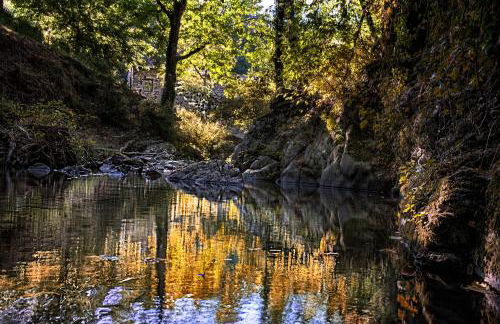 il Friscello - Foto 4