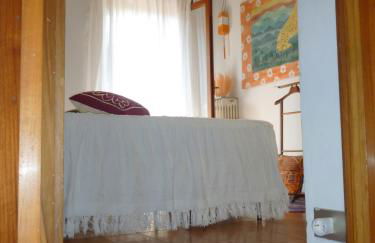 il geranio - Foto 15