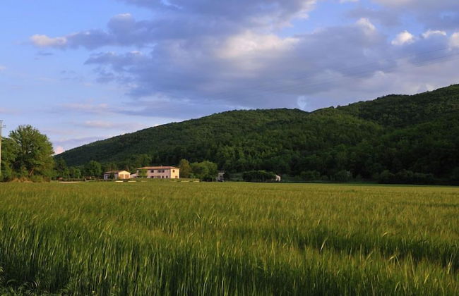 Agriturismo Il Corniolo - Photo 59