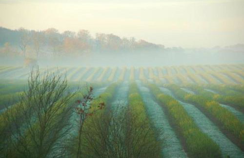 Forsthof Niendorf - Foto 9