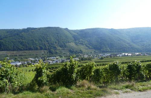 Hausboot Moselrose in Pölich - Foto 49