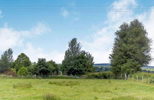 Robin's Nest - Foto 40