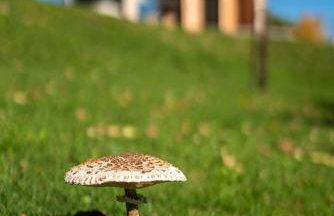 Drwalówka - Domek "NA SKARPIE" - Foto 46