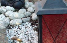 Casa rural Cal Fuster Experience - Foto 42