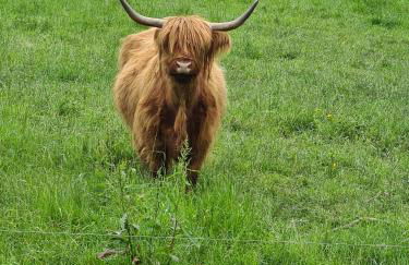 Ferienwohnung Pflüger mit Terrasse - Foto 27