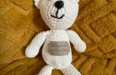 Les Ours de Combloux - Photo 18