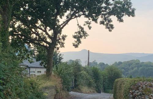 Stable End - Photo 18