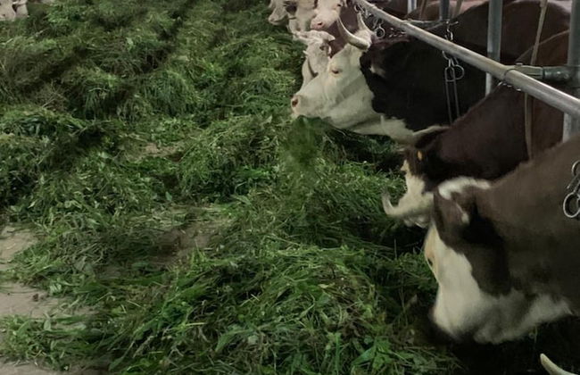 Agriturismo La Grange - Foto 35