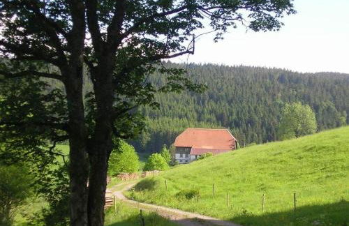 Rutscherhof Comfortable holiday residence - Foto 6