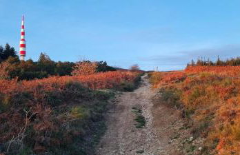 Mazamet : Résidence du Musée centre ville. - Photo 11