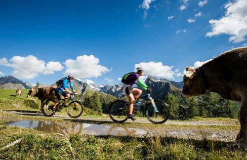 XL Appartements Sand in Taufers - Photo 44