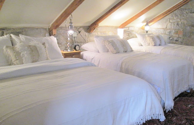 All Suites Whitney Manor - Photo 11