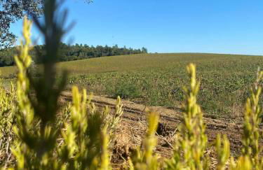 Tiny-House Grand Confort - Salle de bain italienne - Lit King - 10 min A7 - Foto 45