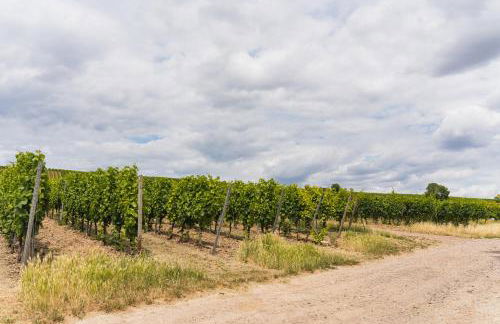 Appartment in den Weinbergen bei Mainz - mit 2x Doppelzimmern, 1x großes Wohnzimmer, Bad & Küche - Foto 17