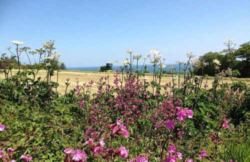 Little Bream - pretty cosy cottage, sea views, walk to the beach - Foto 29