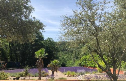 Les Mazets de la Cascade - Foto 48