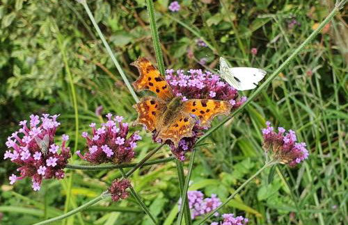 Model Farm by Group Retreats - Foto 40