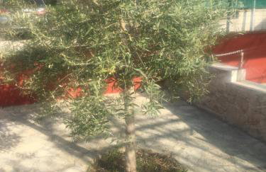 Feriendomizil Moll - Photo 20