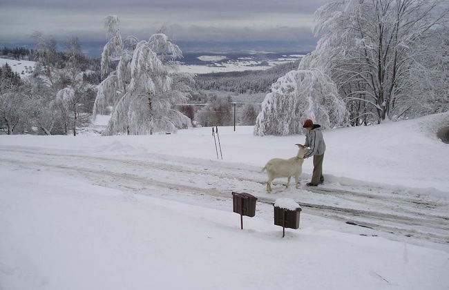 Apartment Marie in J Chymov - Photo 9