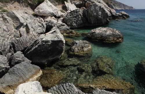 Robinson Stevica - Photo 6