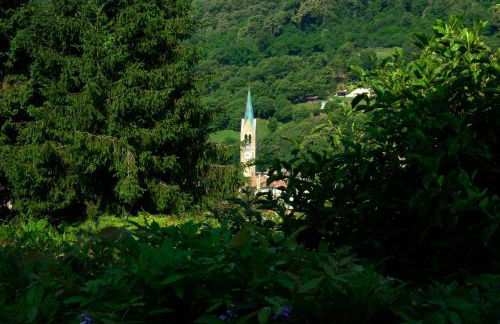 Casa Pracol - Photo 37