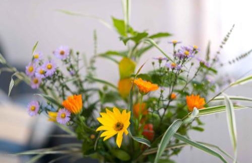 Im alten Kino - Foto 3