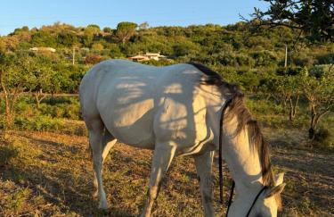 Casale Morillo - Foto 49