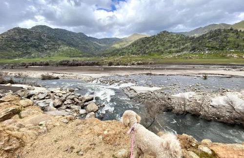 Sequoia Cabin by the River - Photo 44