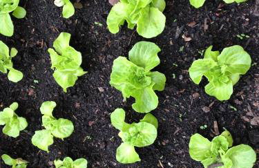 Hewletts Mill - Foto 49