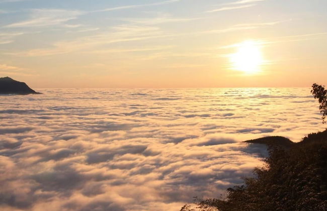 Shen Shan Lin Nai B&B - Photo 37