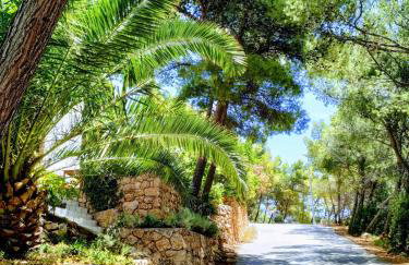 Apartment Kordić - Foto 9