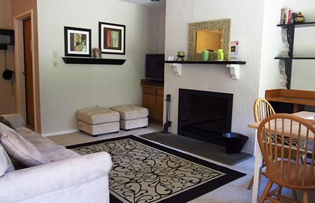 Mount Snow Condominiums - Photo 13