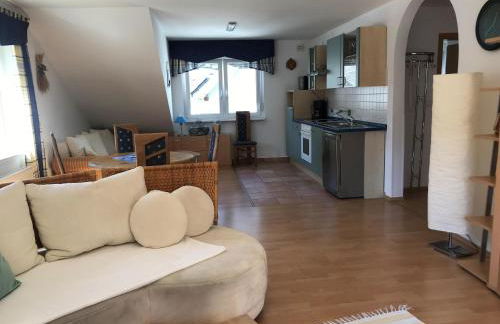 Bio-Ferienweingut Leyendecker - Foto 35