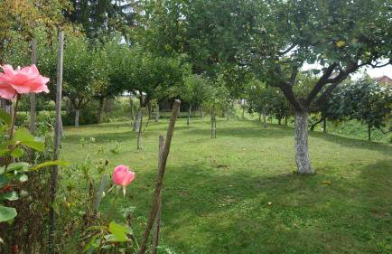 Apartment Mia - Foto 54