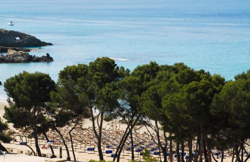 Aparthotel Novo Mar - Foto 53