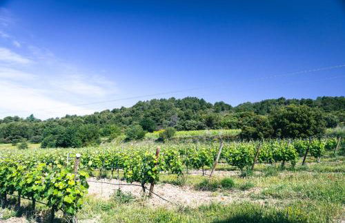 Domaine des Peyre - Foto 75