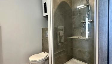Studio 63 Rénové et Équipé - Nancy Brabois proche CHRU,CESI,FAC - Foto 4, towels, Shower