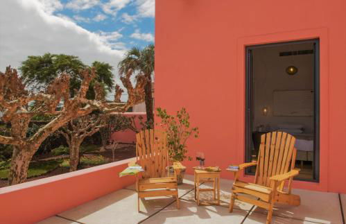 Herdade do Ananás - Photo 27