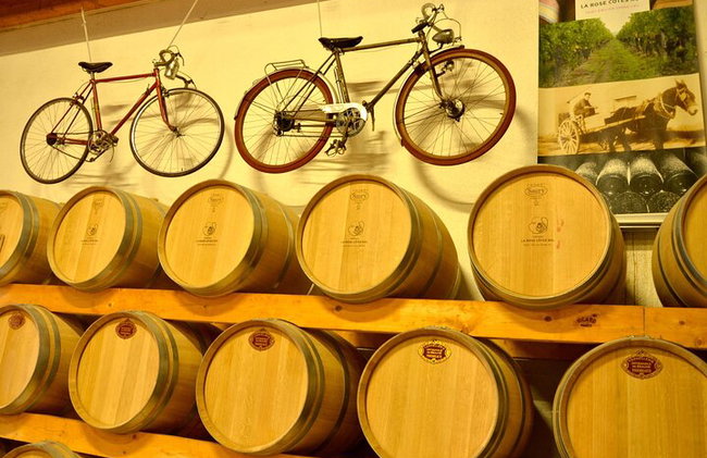 "Explora Saint-Émilion en bicicletas eléctricas: Grupo pequeño, excursión de medio día" - Foto 17