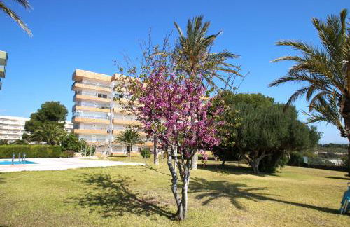 Apartamento Horizont - Foto 12