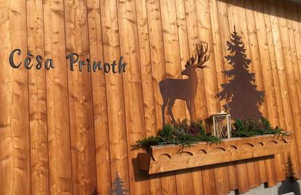 Cèsa Prinoth - Foto 56